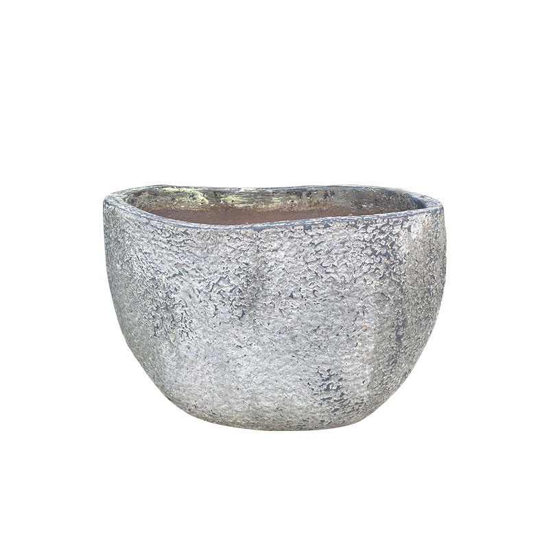 Wax Xanh Rêu
