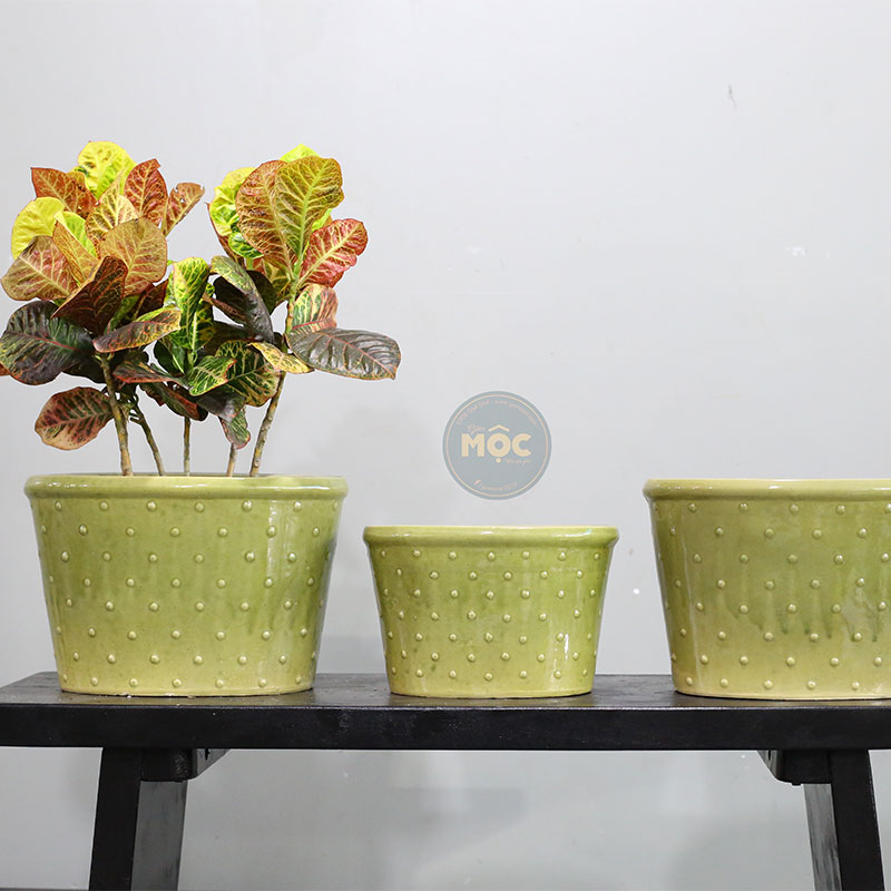 3534 ID Oval Chấm Bi 26x15x16