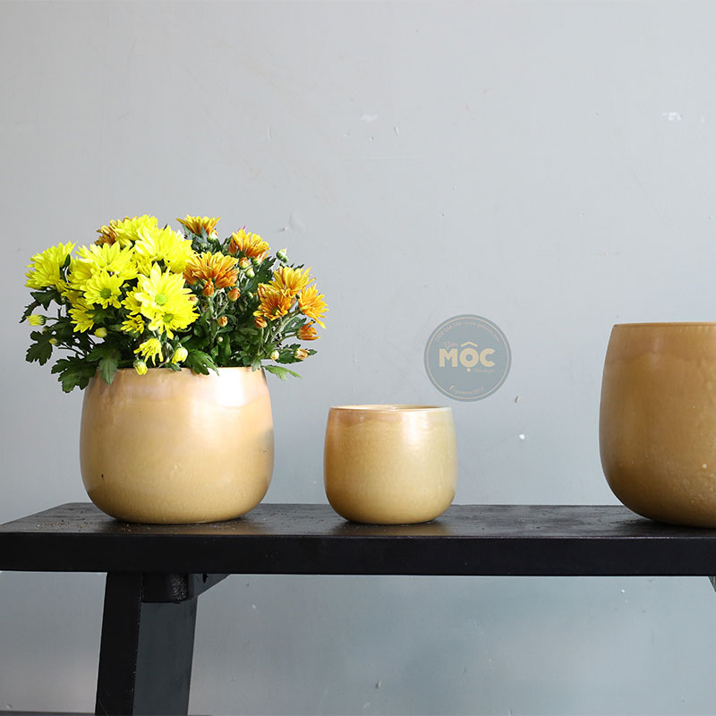 Mờ | 3746 Chậu ID Bầu Đáy 16x16x13 M13