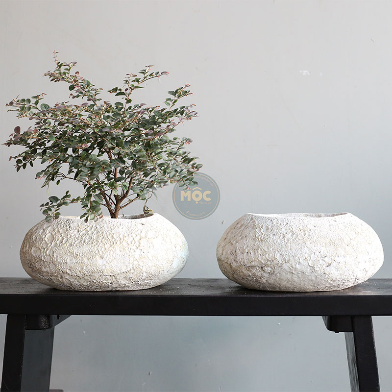 3749 Atlantic Hòn Đá Dẹp 35x30x15