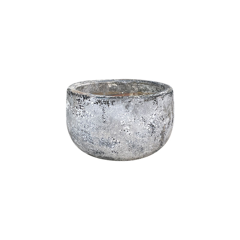 Wax Xanh Rêu