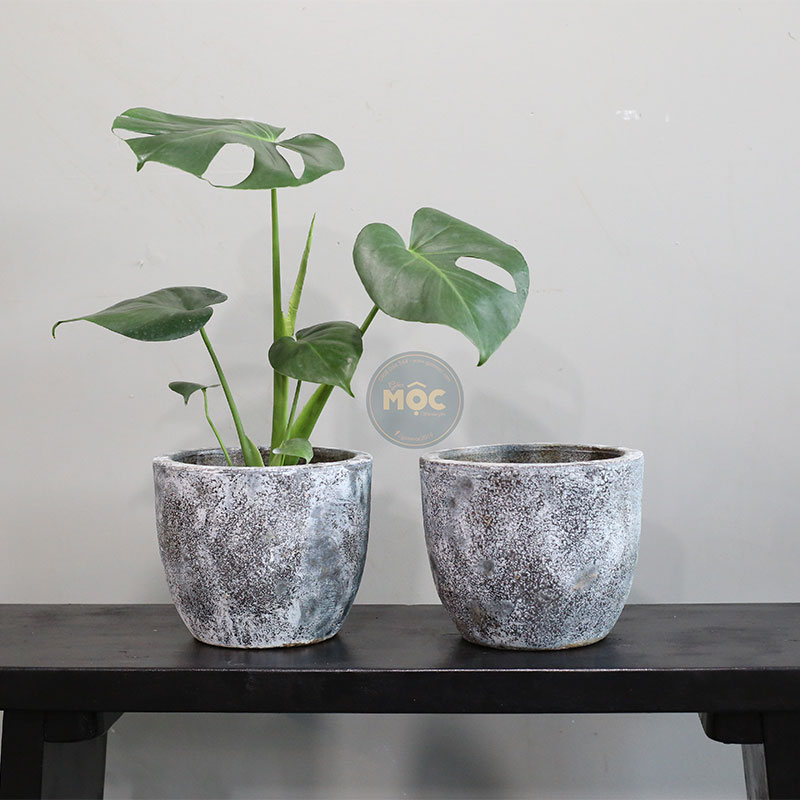 4211 Men Mỹ Thuật Trứng 21x21x18